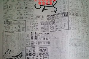 4/4  六合彩參考6