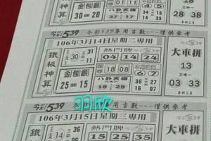 3/13～3/18 539 週報