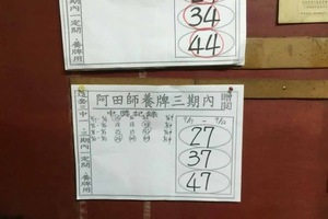 9/17-9/22 阿田師養牌三期內-六合彩參考
