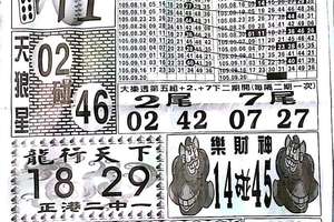 9/20  中國新聞報-大樂透參考