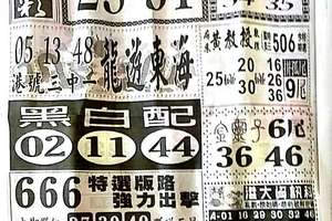 11/1  中國新聞報-六合彩參考