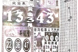 11/8  中國新聞報-大樂透參考