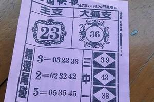 12/20  桃園快報-六合彩參考