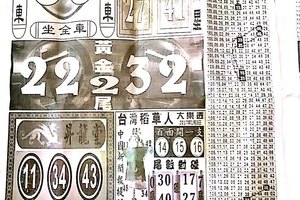 1/3  中國新聞報-大樂透參考