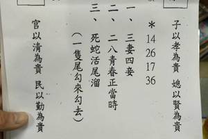 2/25-3/2    震興宮-六合彩參考
