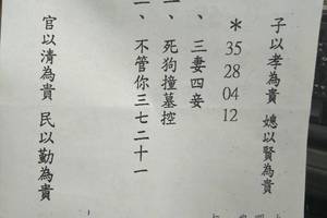 3/11-3/16  震興宮-六合彩參考.jpg