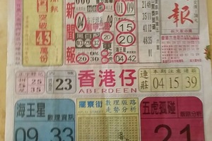 3/14 中國新聞報-六合彩參考