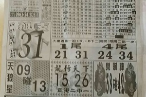 3/14 中國新聞報-大樂透參考
