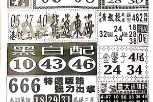 3/16  中國新聞報-六合彩參考.jpg