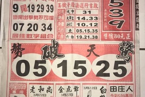 3/22-3/23 福氣539-539參考