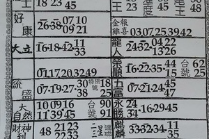 3/23 六合彩參考資料-六合彩參考