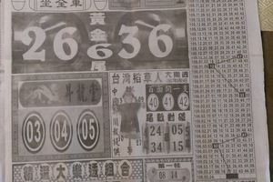 3/24 中國新聞報-大樂透參考