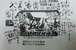 4/1-4/8  香港九龍園 -六合彩參考.jpg