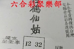 4/13 白鶴仙姑-六合彩參考