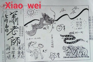 5/6 蕭老師-六合彩參考