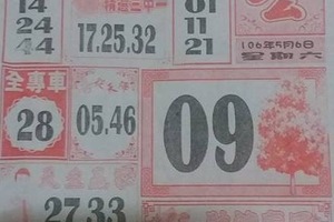 5/6 大樹公-六合彩參考