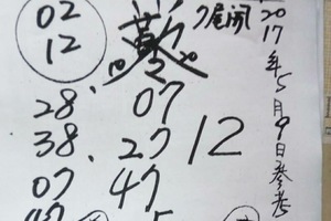 5/9 慶安宮會員牌-六合彩參考