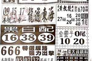 6/6  中國新聞報-六合彩參考.jpg
