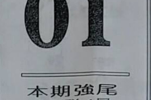 7/27  最強鐵尾-六合彩參考.jpg