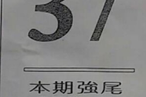 8/1  最強鐵尾-六合彩參考.jpg