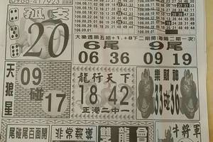 9/1  中國新聞報-大樂透參考