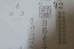 4/18  白鶴童子-六合彩參考.jpg