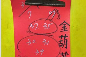 3/7  金葫蘆-六合彩參考.jpg