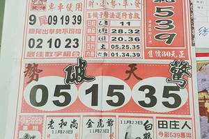 11/23-11/24  福氣539-今彩539參考