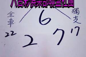 3/28  草山-六合彩參考.jpg
