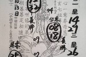 11/8-11/13  茄萣-六合彩參考.jpg