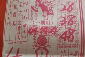 2/18  嘉義濟公禪堂 特別版 -六合彩參考.jpg