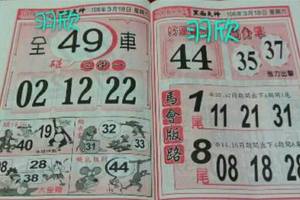 3/18  馬會版路-六合彩參考.jpg