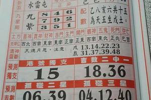 4/18  聖母寶鑑-六合彩參考.jpg