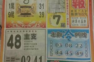 3/14 火報-六合彩參考.jpg