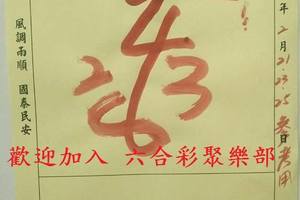 2/21-2/25  天后宮-六合彩參考.jpg