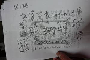 3/14-3/18  香港九龍園 第1張-六合彩參考.jpg