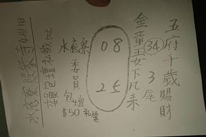 4/11  水底寮照眾寺-六合彩參考.jpg