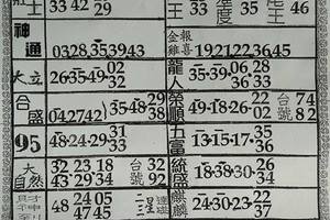 2/21  六合彩參考資料-六合彩參考.jpg