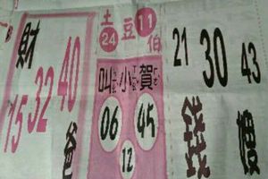 3/16  賀報-六合彩參考.jpg