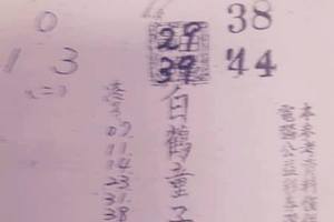 4/11  白鶴童子-六合彩參考.jpg
