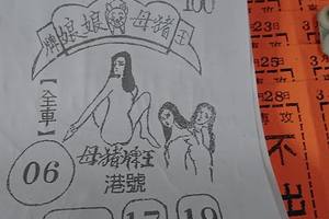 3/30  豬母娘娘-六合彩參考.jpg