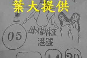 4/8  豬母娘娘-六合彩參考.jpg