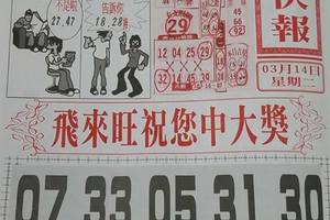 3/14  香港九九快報-六合彩參考.jpg