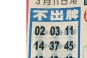 3/11  中港台不出牌-六合彩參考.jpg