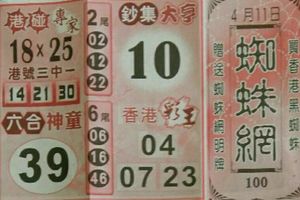 4/11  蜘蛛網-六合彩參考.jpg