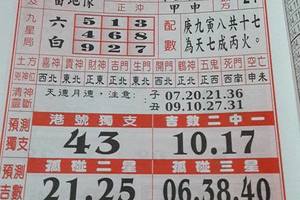 3/4  聖母寶鑑-六合彩參考.jpg