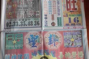 3/16  正旺-六合彩參考.jpg