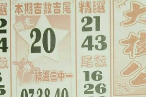 10/27  大樹公-六合彩參考.jpg