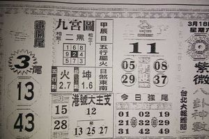 3/18  紫微八卦神數-六合彩參考.jpg