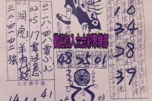 2/16-2/18  嘉義濟公禪堂-六合彩參考.jpg